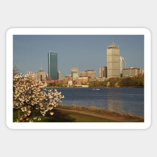 Boston Charles River on a Spring day Sticker